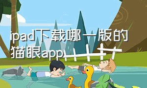 ipad下载哪一版的猫眼app