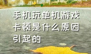 手机玩单机游戏卡顿是什么原因引起的