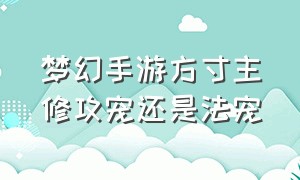 梦幻手游方寸主修攻宠还是法宠