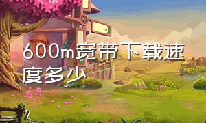 600m宽带下载速度多少