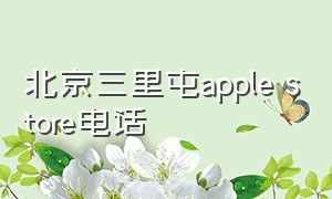 北京三里屯apple store电话