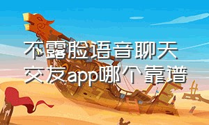 不露脸语音聊天交友app哪个靠谱