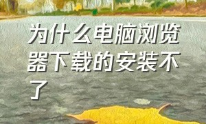 为什么电脑浏览器下载的安装不了