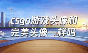 csgo游戏头像和完美头像一样吗