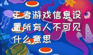 王者游戏信息设置所有人不可见什么意思