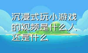 沉浸式玩小游戏的视频是什么人还是什么