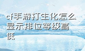 cf手游打生化怎么显示排位等级高低