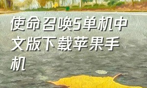 使命召唤5单机中文版下载苹果手机