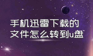 手机迅雷下载的文件怎么转到u盘