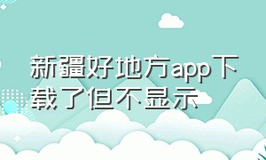 新疆好地方app下载了但不显示