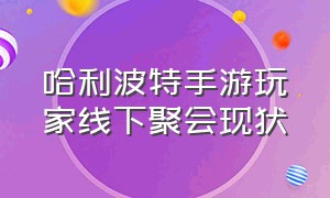 哈利波特手游玩家线下聚会现状