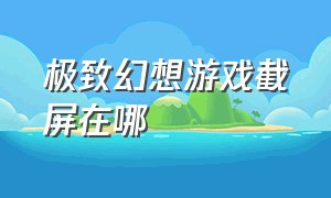 极致幻想游戏截屏在哪