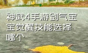 神武4手游剑气宝宝觉醒技能选择哪个