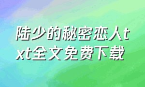 陆少的秘密恋人txt全文免费下载