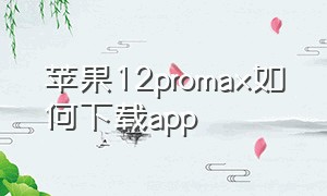 苹果12promax如何下载app