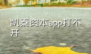 凯泰资本app打不开