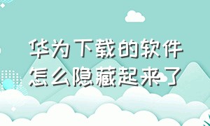 华为下载的软件怎么隐藏起来了