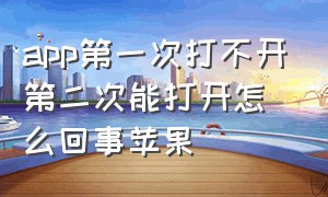 app第一次打不开第二次能打开怎么回事苹果