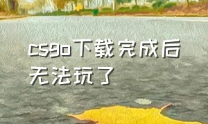 csgo下载完成后无法玩了