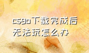 csgo下载完成后无法玩怎么办