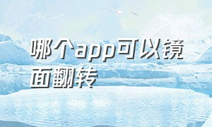 哪个app可以镜面翻转