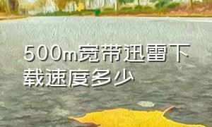 500m宽带迅雷下载速度多少