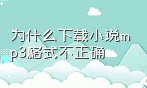 为什么下载小说mp3格式不正确