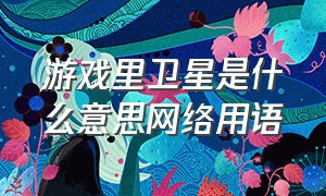 游戏里卫星是什么意思网络用语