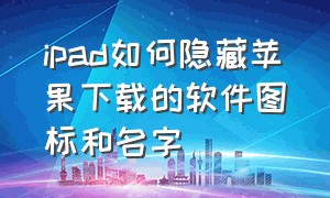 ipad如何隐藏苹果下载的软件图标和名字