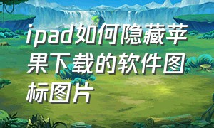 ipad如何隐藏苹果下载的软件图标图片