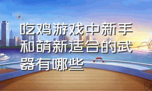 吃鸡游戏中新手和萌新适合的武器有哪些