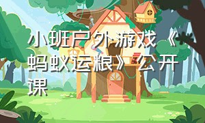 小班户外游戏《蚂蚁运粮》公开课