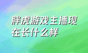 胖虎游戏主播现在长什么样