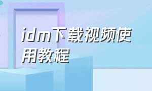 idm下载视频使用教程