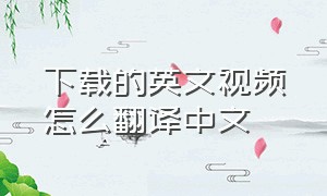 下载的英文视频怎么翻译中文