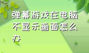 弹幕游戏在电脑不显示画面怎么办