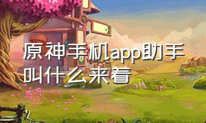 原神手机app助手叫什么来着