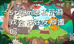 steam隐私玩游戏会被好友知道吗