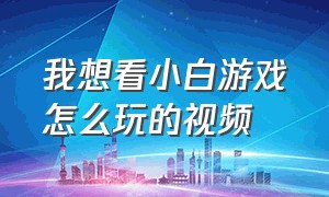 我想看小白游戏怎么玩的视频