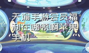 天谕手游会员福利在哪领啊苹果手机