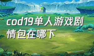 cod19单人游戏剧情包在哪下