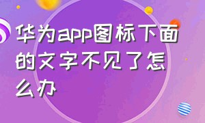 华为app图标下面的文字不见了怎么办