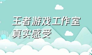 王者游戏工作室真实感受