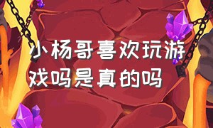 小杨哥喜欢玩游戏吗是真的吗