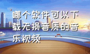 哪个软件可以下载无损音质的音乐视频