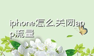 iphone怎么关闭app流量