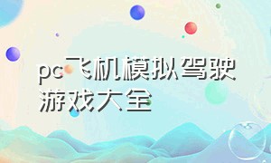 pc飞机模拟驾驶游戏大全