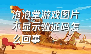 泡泡堂游戏图片不显示验证码怎么回事