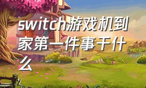 switch游戏机到家第一件事干什么