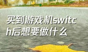 买到游戏机switch后想要做什么